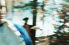 Happy birthday to Seth Numrich, also known as the star of one of my favorite GIFs ever: 