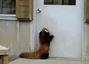 Really don’t want to go back to work play testing tomorrow not gonna lie. The door is in front of me and that’s all I can see now xD #Goals.