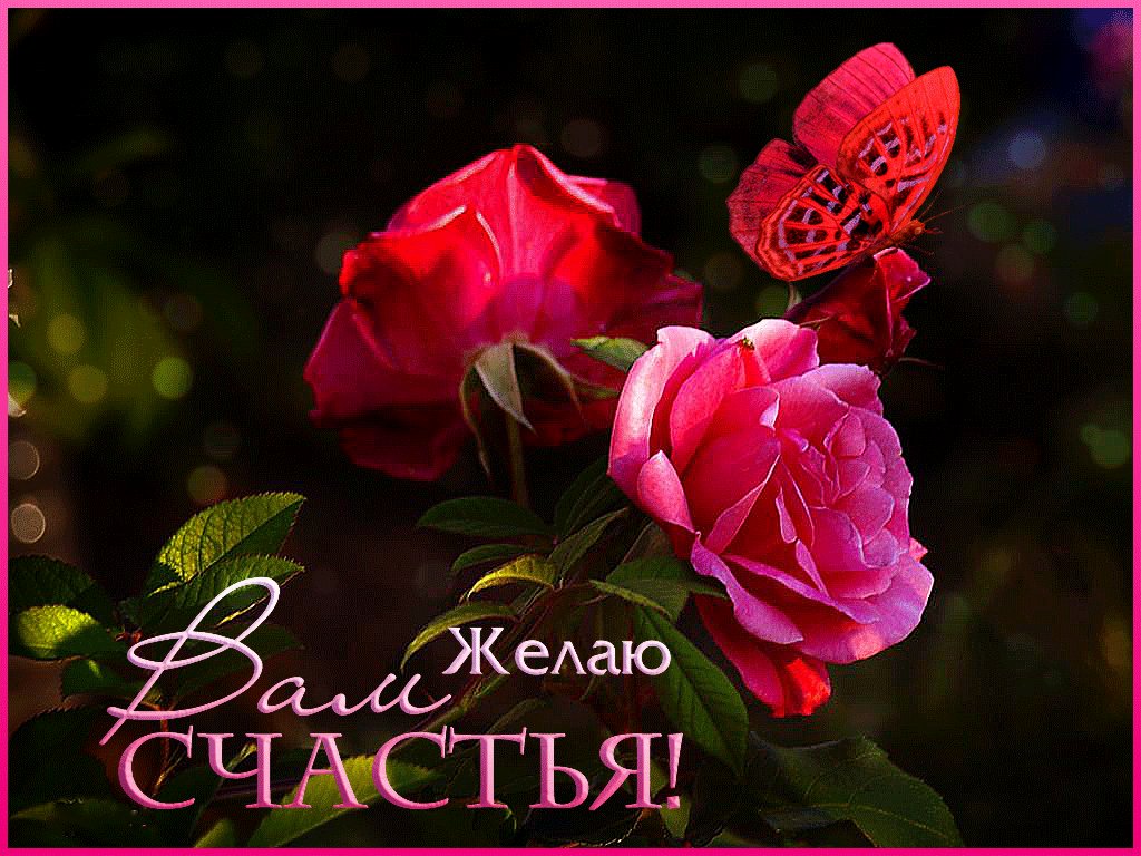 Камышинки схема, открытки о счастье любви и цветы