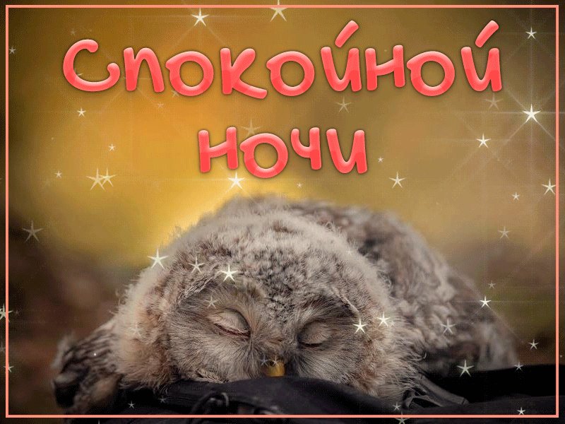 Открытка для, спокойной ночи картинки прикольные смешные гифы