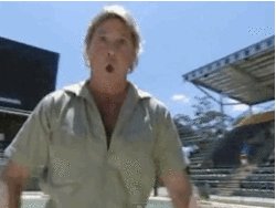 Happy birthday to steve irwin. i miss you, bitch :( 