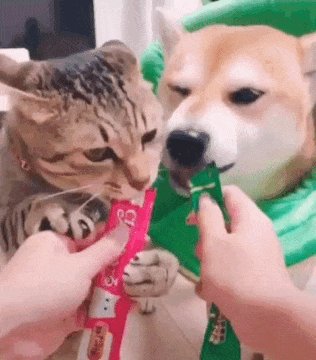 心が乱れた時に見るgif 心が乱れた時に見るgif T Co Itrd6ccjg3 心が乱れた時に見るgif 心が乱れた時に見るgif T Co Itrd6ccjg3