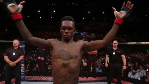 UFC234