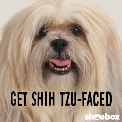 Happy birthday to you Christina ricci 