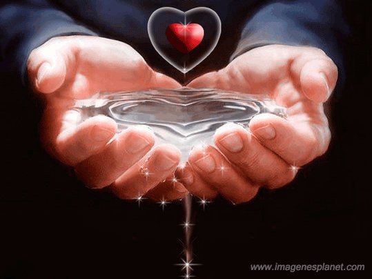 El amor y la amistad se demuestra todos los dias con pequeños detalles, me siento agradecida por ser tan afortunada de tener tantos amigos que me lo has demostrado en estos momentos de mi vida, gracias por estar en mi camino. Feliz día❤