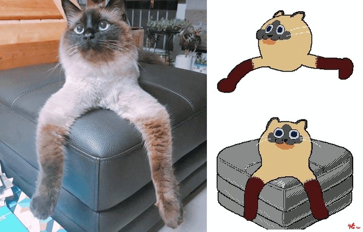 🐱
🦵🦵