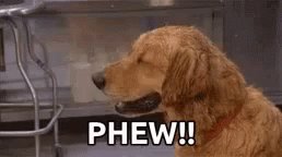 #FLYERSWIN