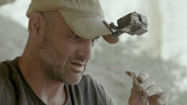 An all-new @Ed_Stafford: #FirstManOut starts NOW. ๐ฆ
