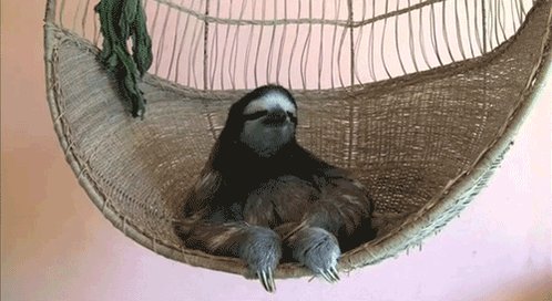 Waiting for a goal like