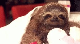 Good Morrow friends❤️