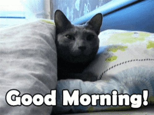Traffic Scotland on Twitter: Traffic Scotland on Twitter: