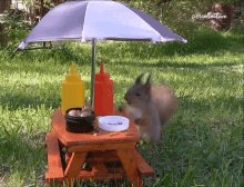 Eating Picnic GIF