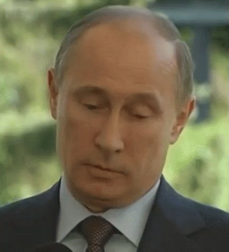 Надо Подумать Путин GIF