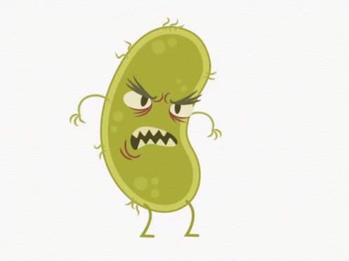 Bacteria GIF