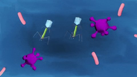 stem antibiotics GIF by Was...