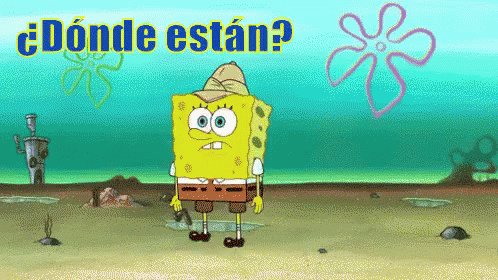 Bob Esponja ¿Dónde Están? GIF