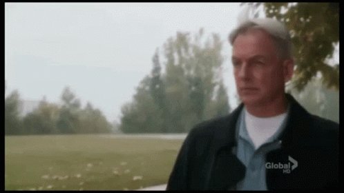 Happy birthday mark Harmon !                  The best actor !!!!!!        