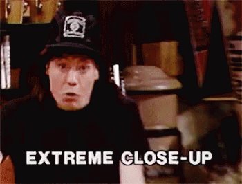 Waynesworld Extremecloseup GIF