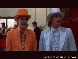 dumb and dumber GIF