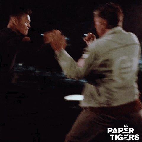 Martial Arts Movie GIF by A...