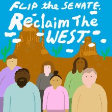 Reclaim The West Flip The S...