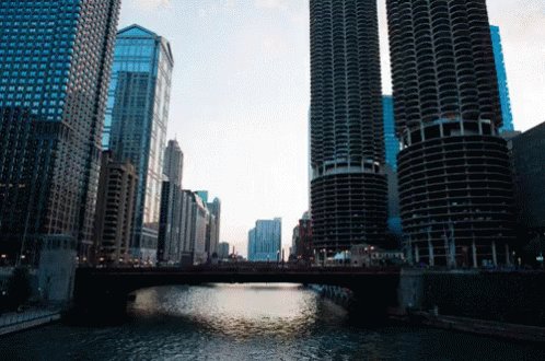 Chicago GIF