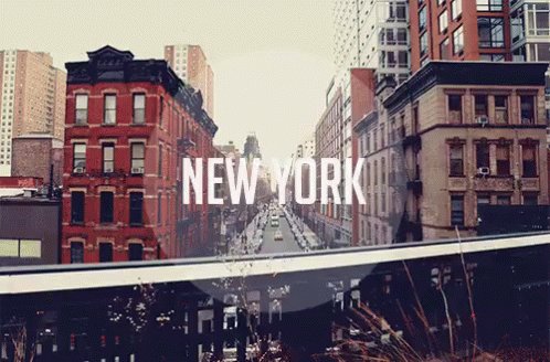 New York GIF