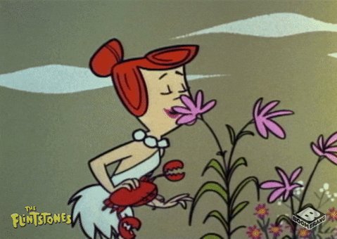Fred Flintstone Cartoon GIF by Boomerang Official