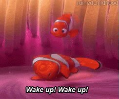 Findingnemo Wakeup GIF