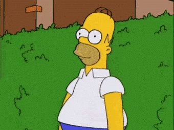 Homer Simpson Bush GIF