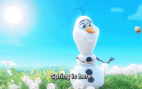 Olaf Has The Right Idea GIF