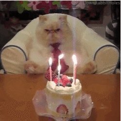   Happy birthday! 