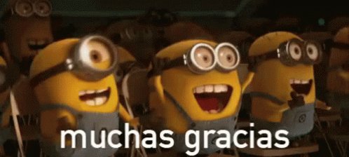 Minions Muchas Gracias GIF