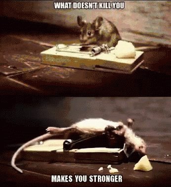 School What Doesnt Kill You Makes You Stronger Mouse GIF