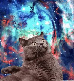 宇宙ねこ　うちゅうねこ　宇宙猫 GIF