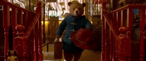 GIF by Paddington 2