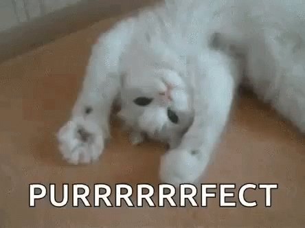 Cat Paw Power GIF