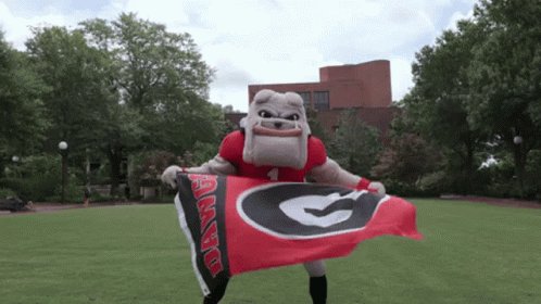 Uga Georgia GIF