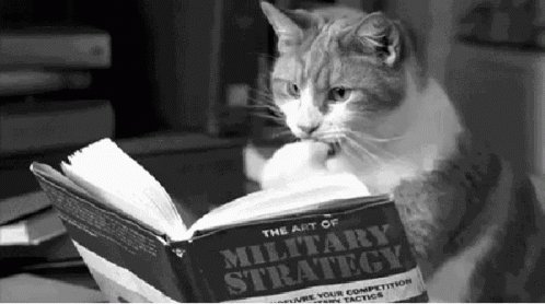 Reading Cat GIF