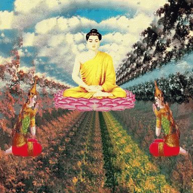 Buddha Worship GIF