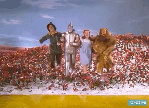 Wizard Of Oz Dorothy GIF by Turner Classic Movies