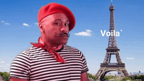 france wink GIF by Robert E Blackmon