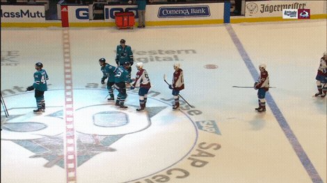 @Avalanche's photo on #GoAvsGo