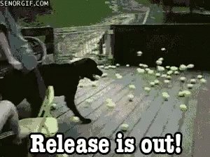 Release It Out GIF