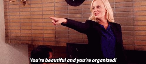 Leslie Knope Parks GIF