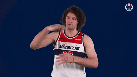 @WashWizards's photo on Robin Lopez