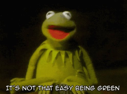 Kermit Muppet GIF