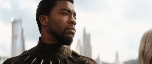 What Black Panther GIF