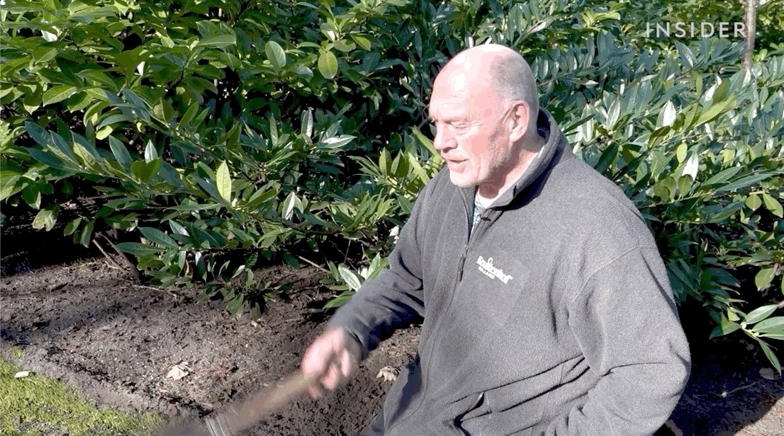 Video of a gardener tossing his spade in the air and catchin