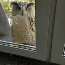 GIF: Einer Eule mit Brief im Schnabel wird das Fenster geöf